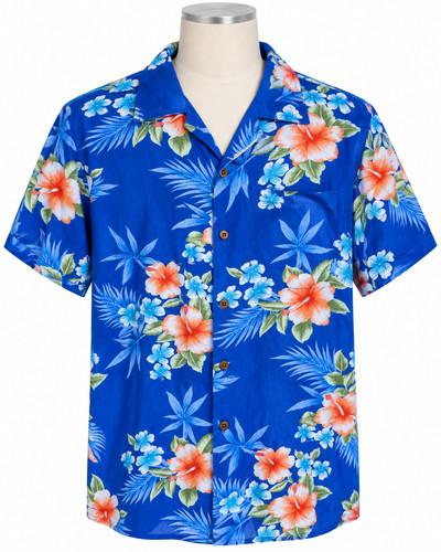 Hawaii hangover aloha - hawaii,